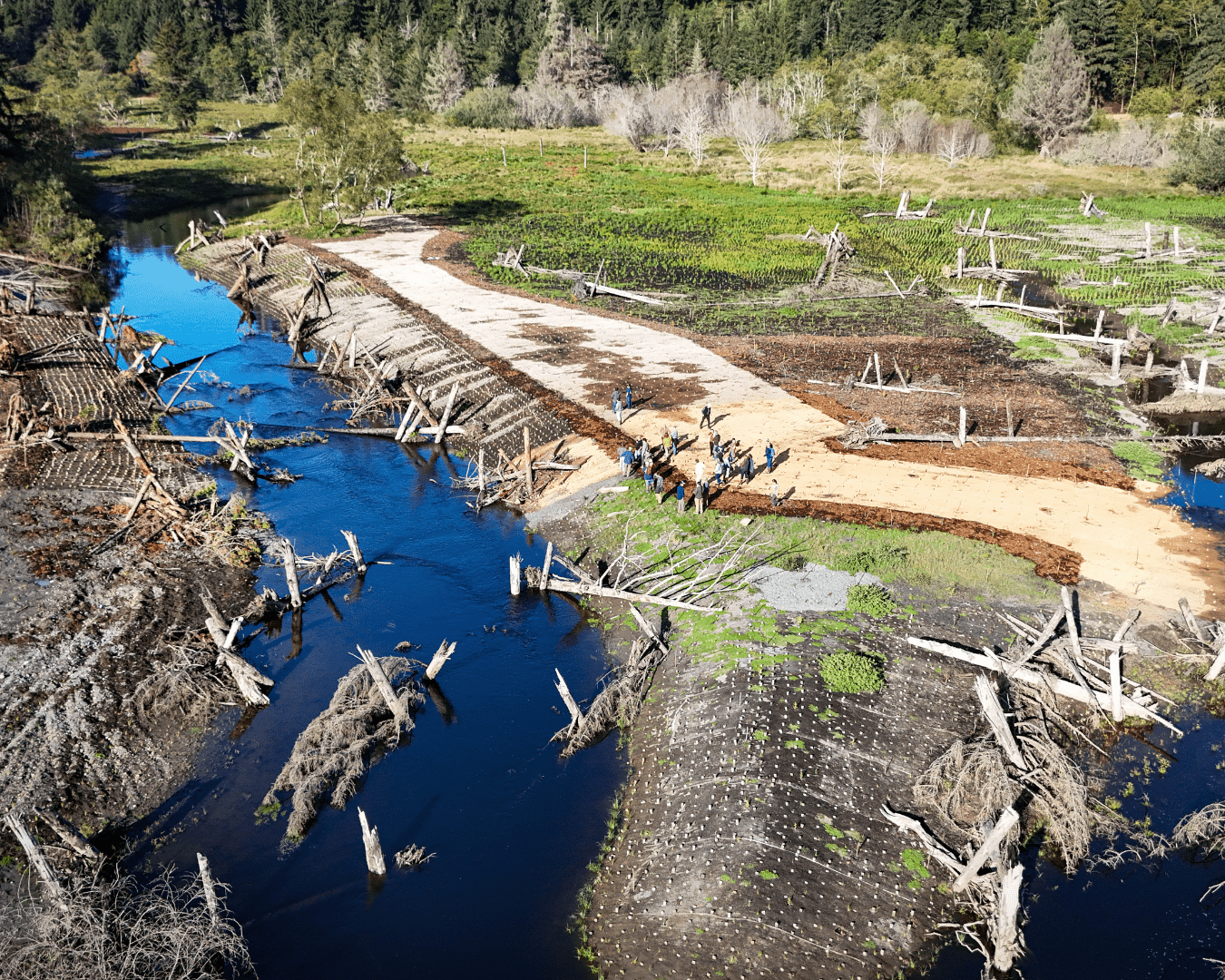 Rectangle Photo Blog Post (1080 x 1350 px) (1350 x 1080 px) (29)