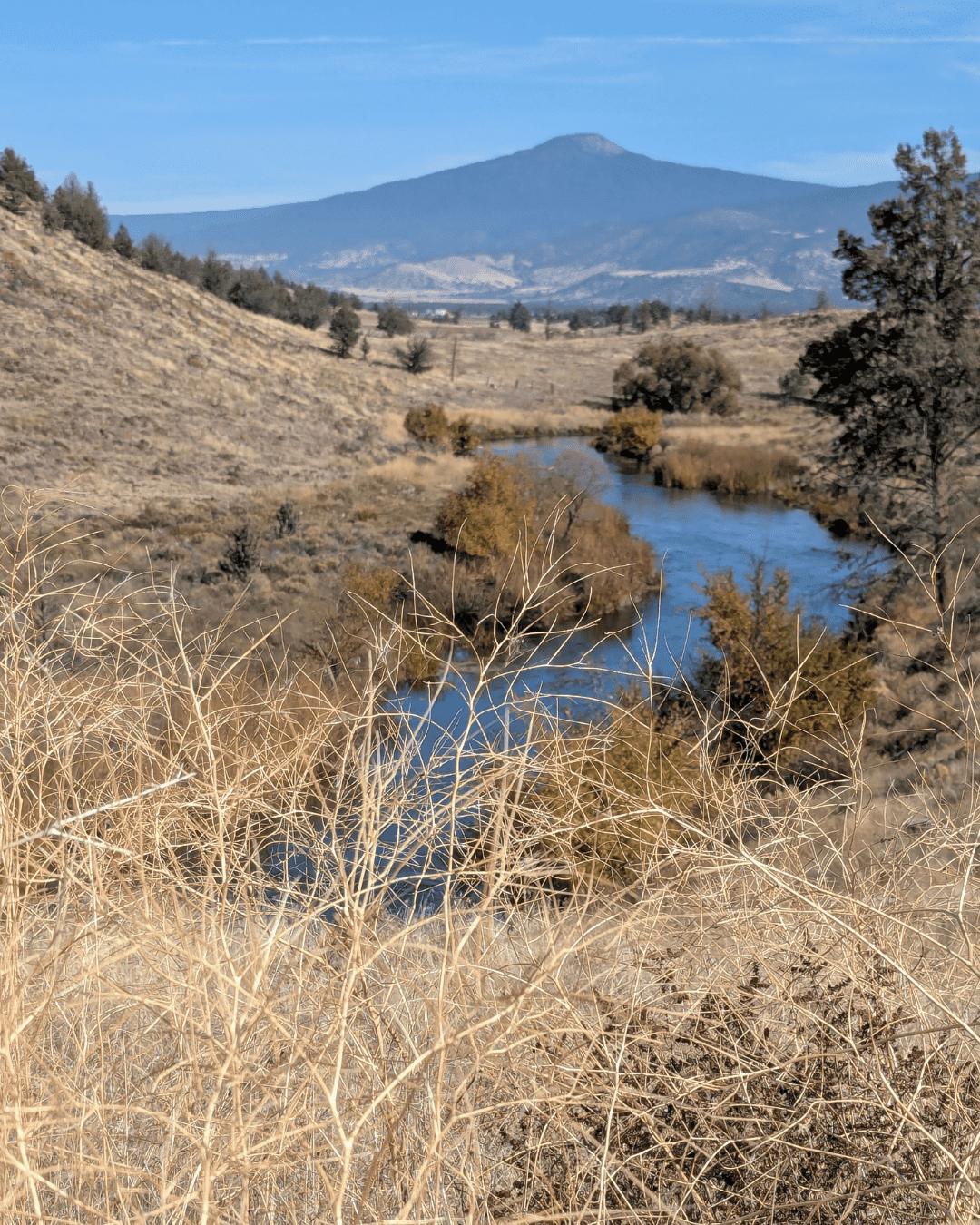 Rectangle Photo Blog Post (1080 x 1350 px) (14)