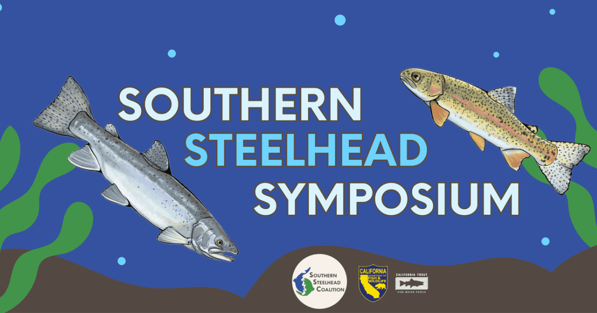 Blog Post Featured Photo (20)