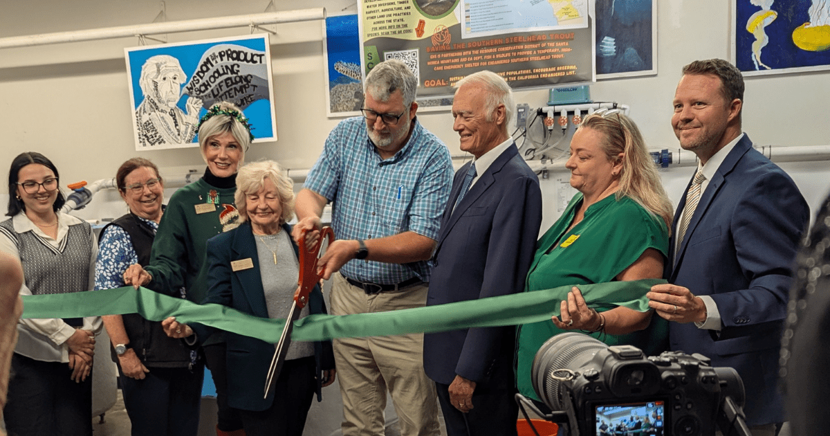 Blog Post Featured Photo (26)