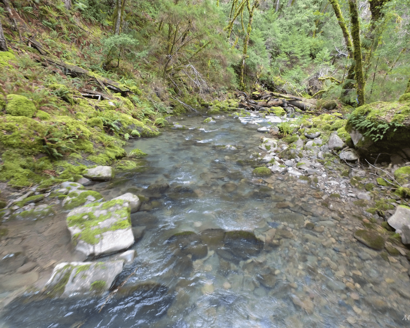 Rectangle Photo Blog Post (1080 x 1350 px) (1350 x 1080 px) (47)