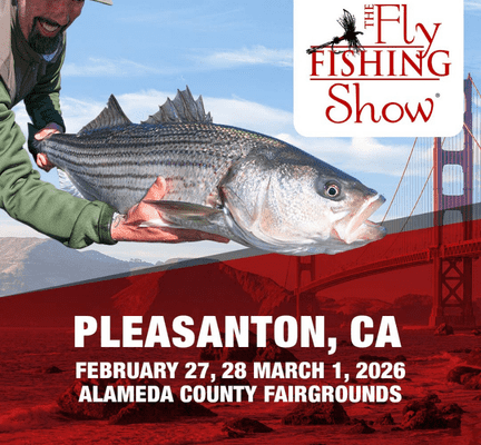 Webpage Event Graphic