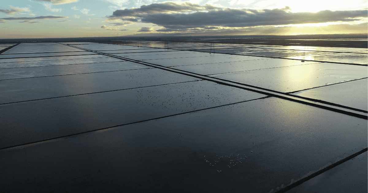 Blog Post Featured Photo (29)