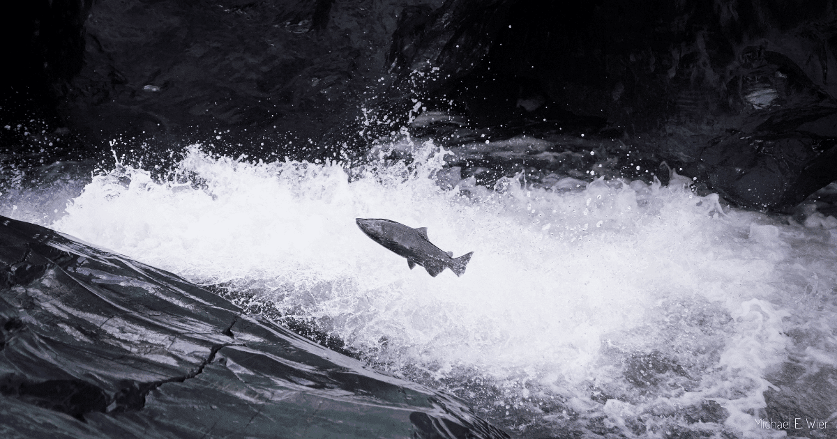 Blog Post Featured Photo (5)