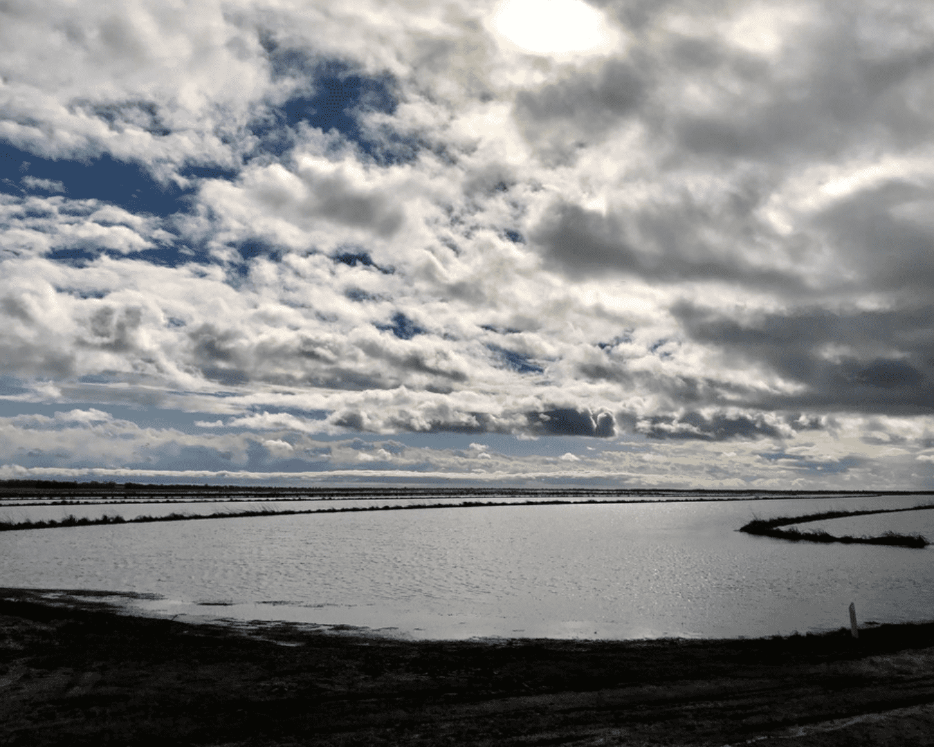 Rectangle Photo Blog Post (1080 x 1350 px) (1350 x 1080 px) (81)