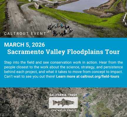 Webpage Event Graphic (3)