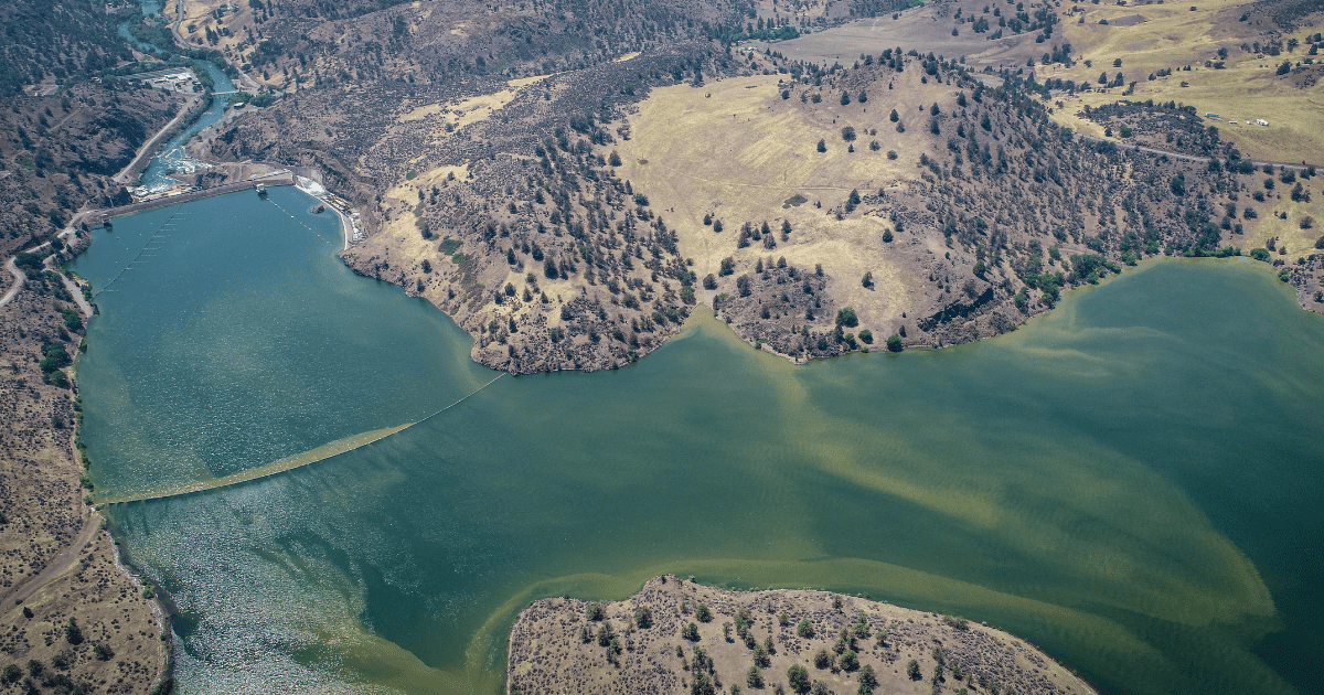 Blog Post Featured Photo (3)