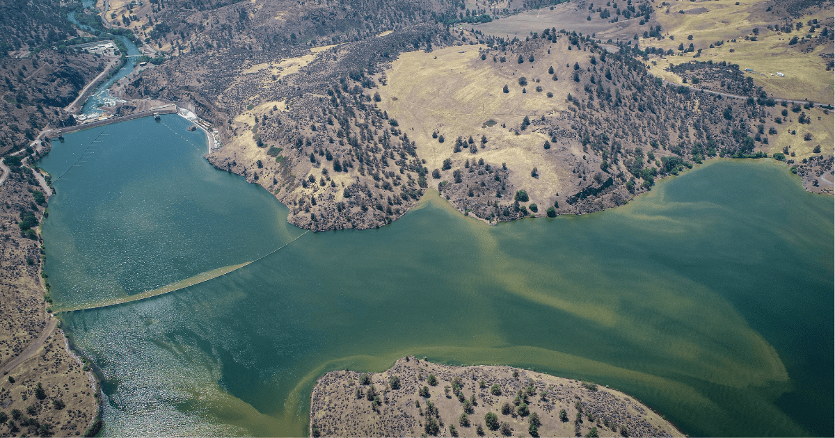 Blog Post Featured Photo (4)