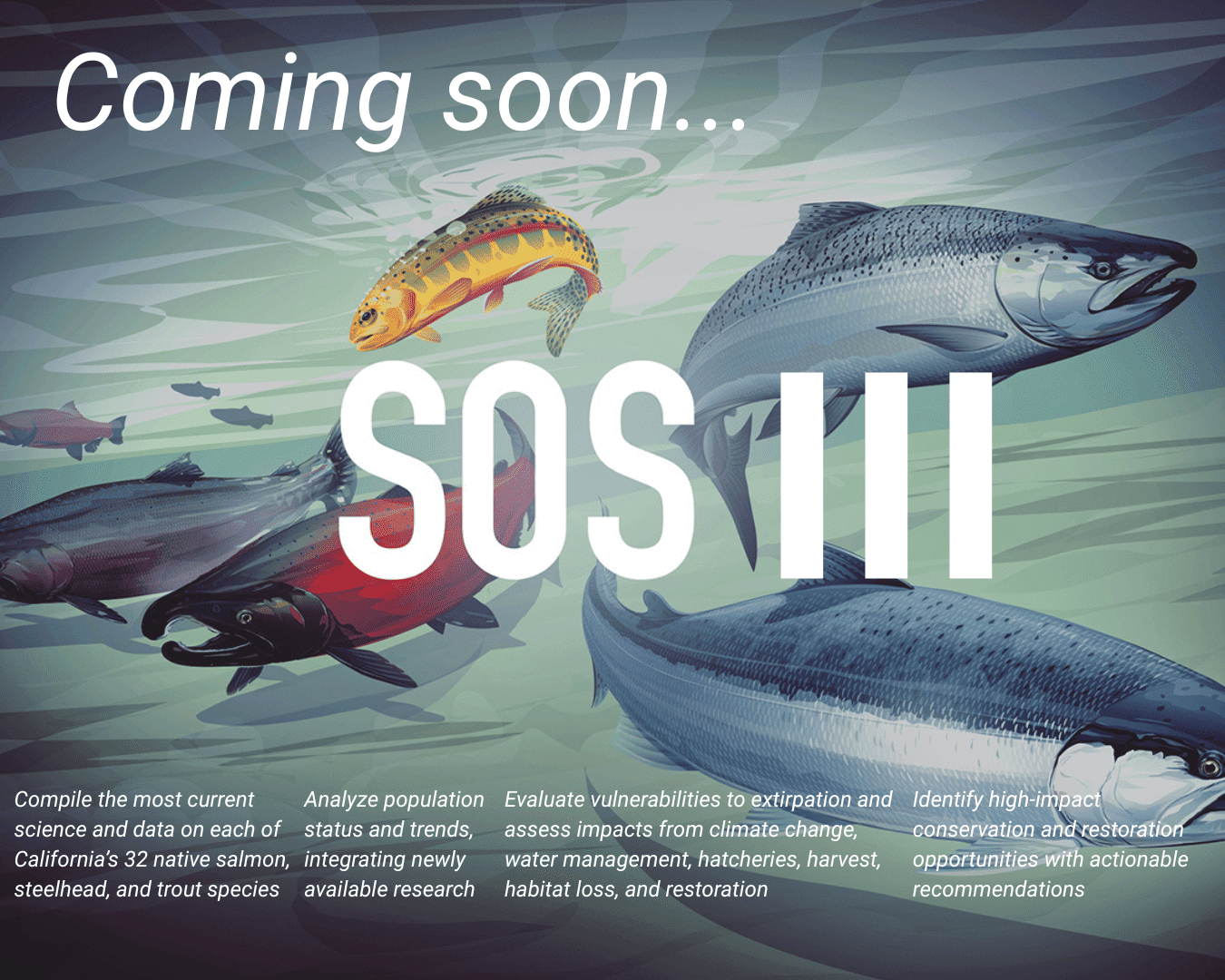 Rectangle Photo Blog Post (1080 x 1350 px) (1350 x 1080 px) (22)