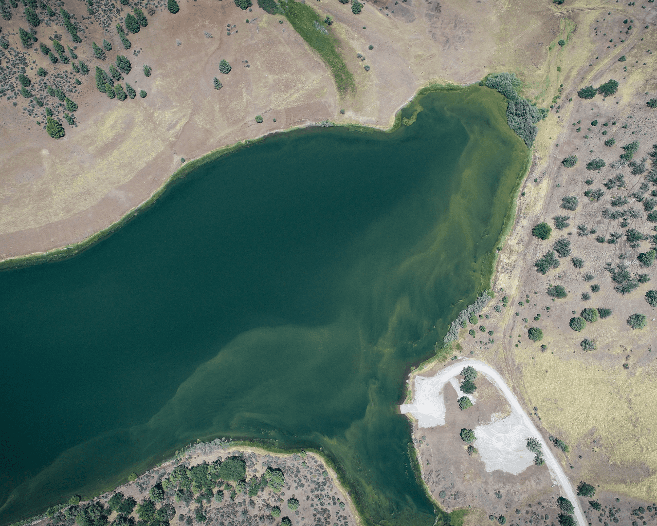 Rectangle Photo Blog Post (1080 x 1350 px) (1350 x 1080 px) (23)