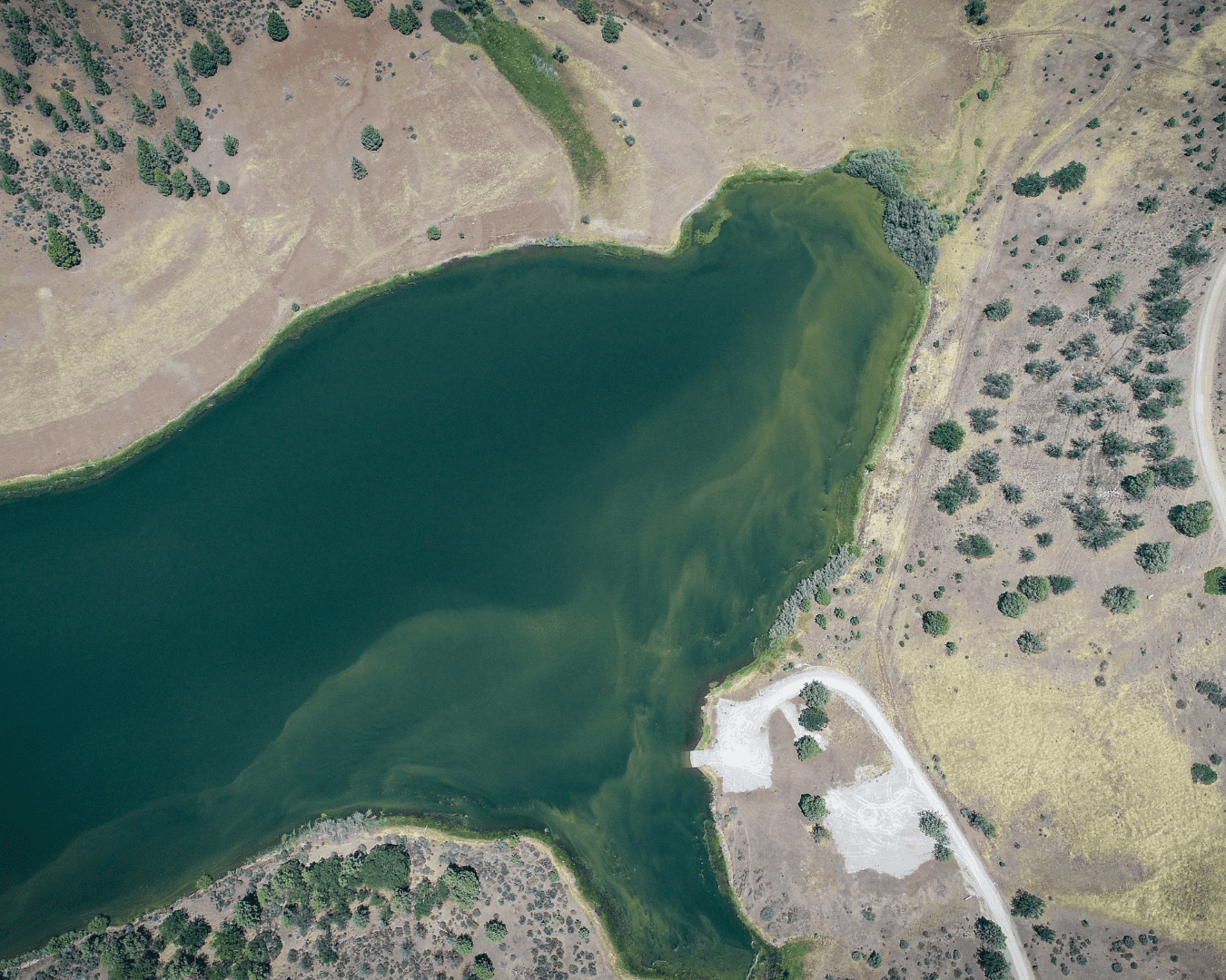 Rectangle Photo Blog Post (1080 x 1350 px) (1350 x 1080 px) (31)