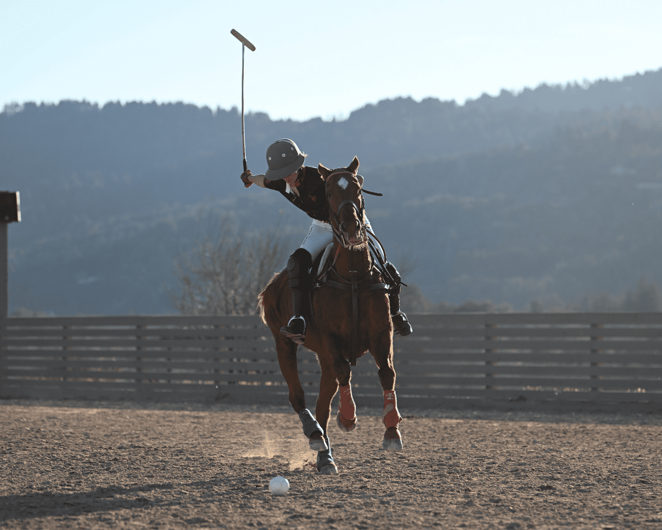 Rectangle Photo Blog Post (1080 x 1350 px) (1350 x 1080 px) (4)