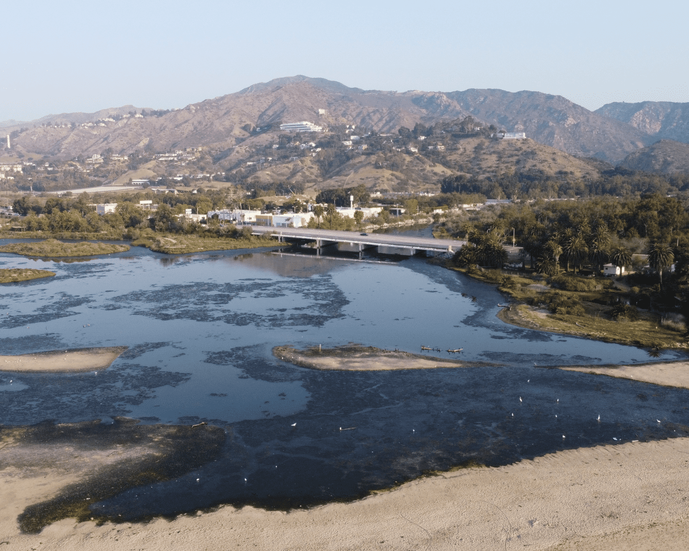 Rectangle Photo Blog Post (1080 x 1350 px) (1350 x 1080 px) (7)