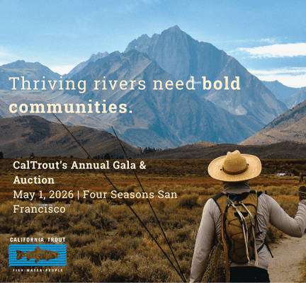 Webpage Event Graphic (2)