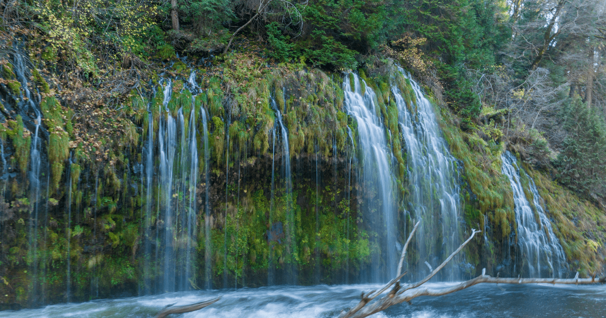 Blog Post Featured Photo (7)