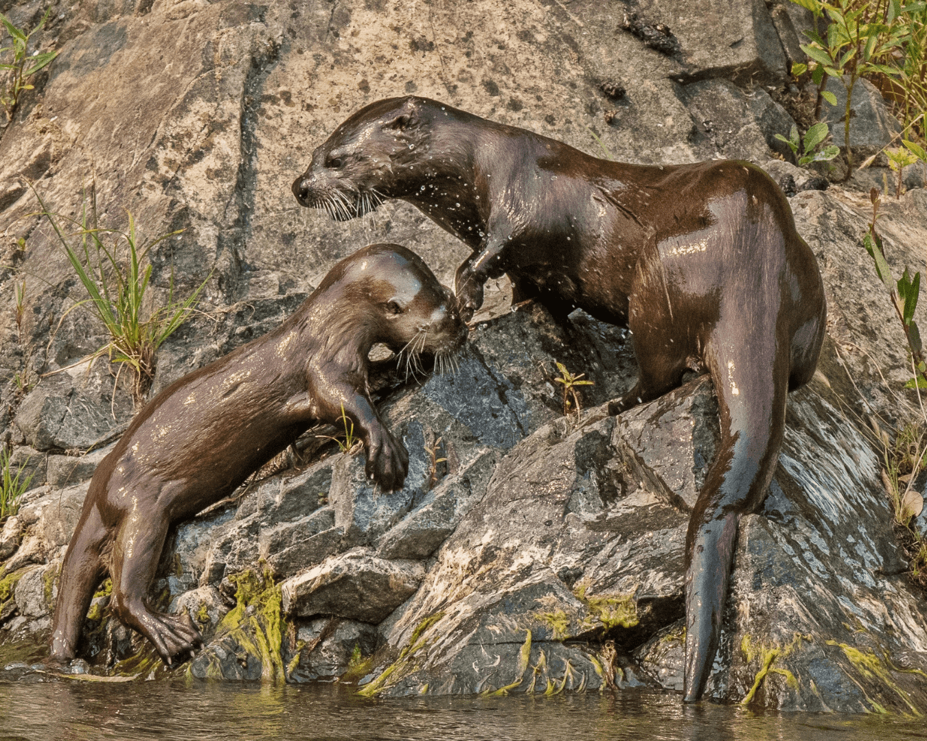 Rectangle Photo Blog Post (1080 x 1350 px) (1350 x 1080 px) (33)