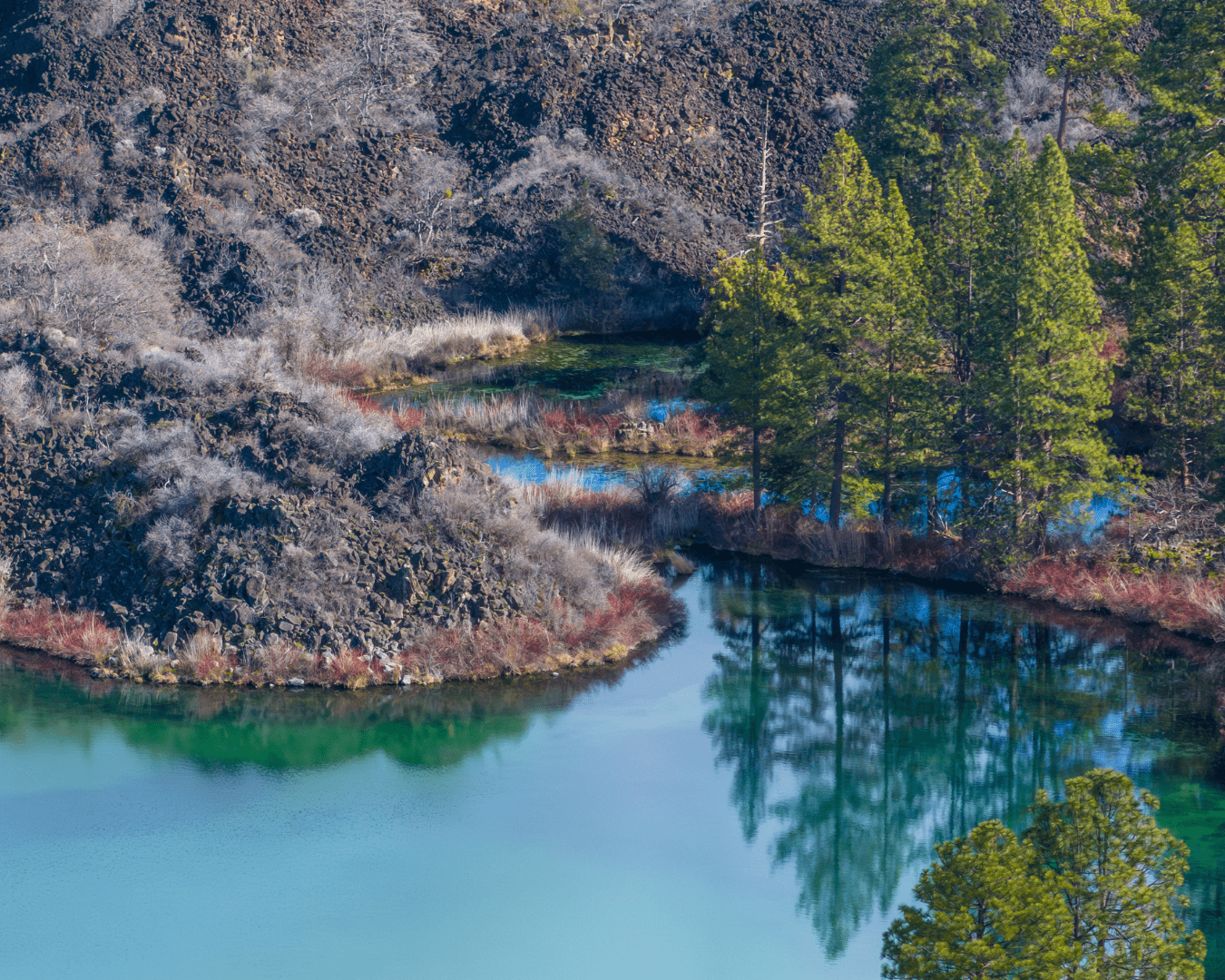 Rectangle Photo Blog Post (1080 x 1350 px) (1350 x 1080 px) (44)