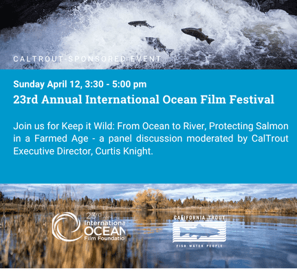 Webpage Event Graphic (3)