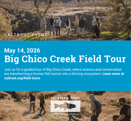 Webpage Event Graphic (4)