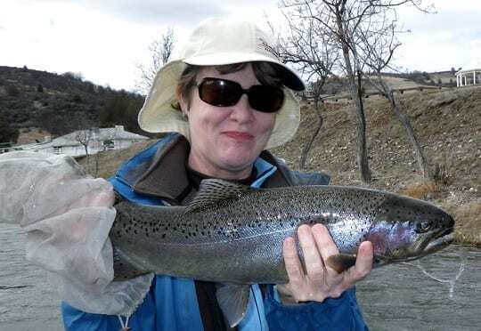 Klamath River Steelhead