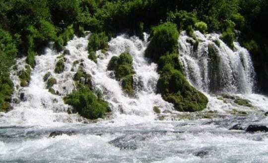 The Upper McCloud River's Big Springs