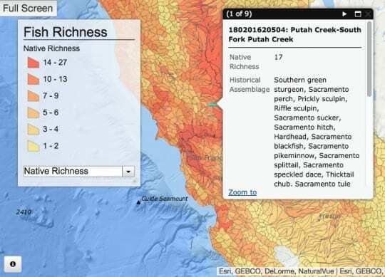 speciesrichnessmap-png