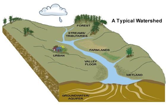 watershed diagram