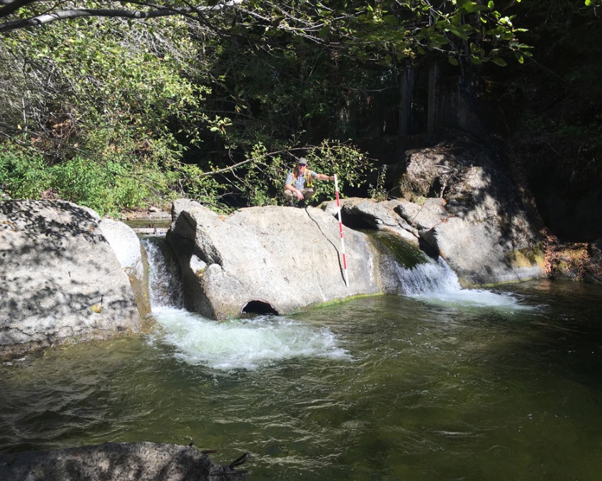 Old-dam-Cedar-Creek