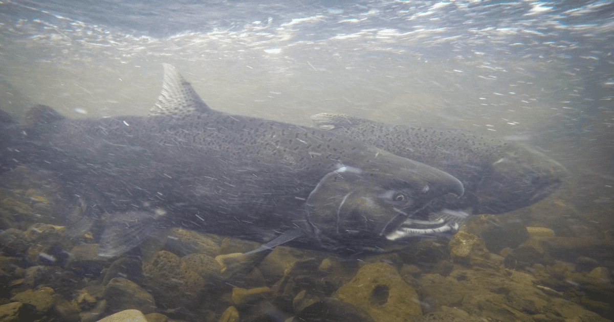 Blog Post Featured Photo (4)