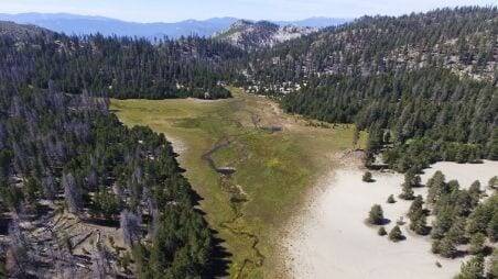 Sierra Meadows Partnership Created to Restore and Protect Source Water Areas