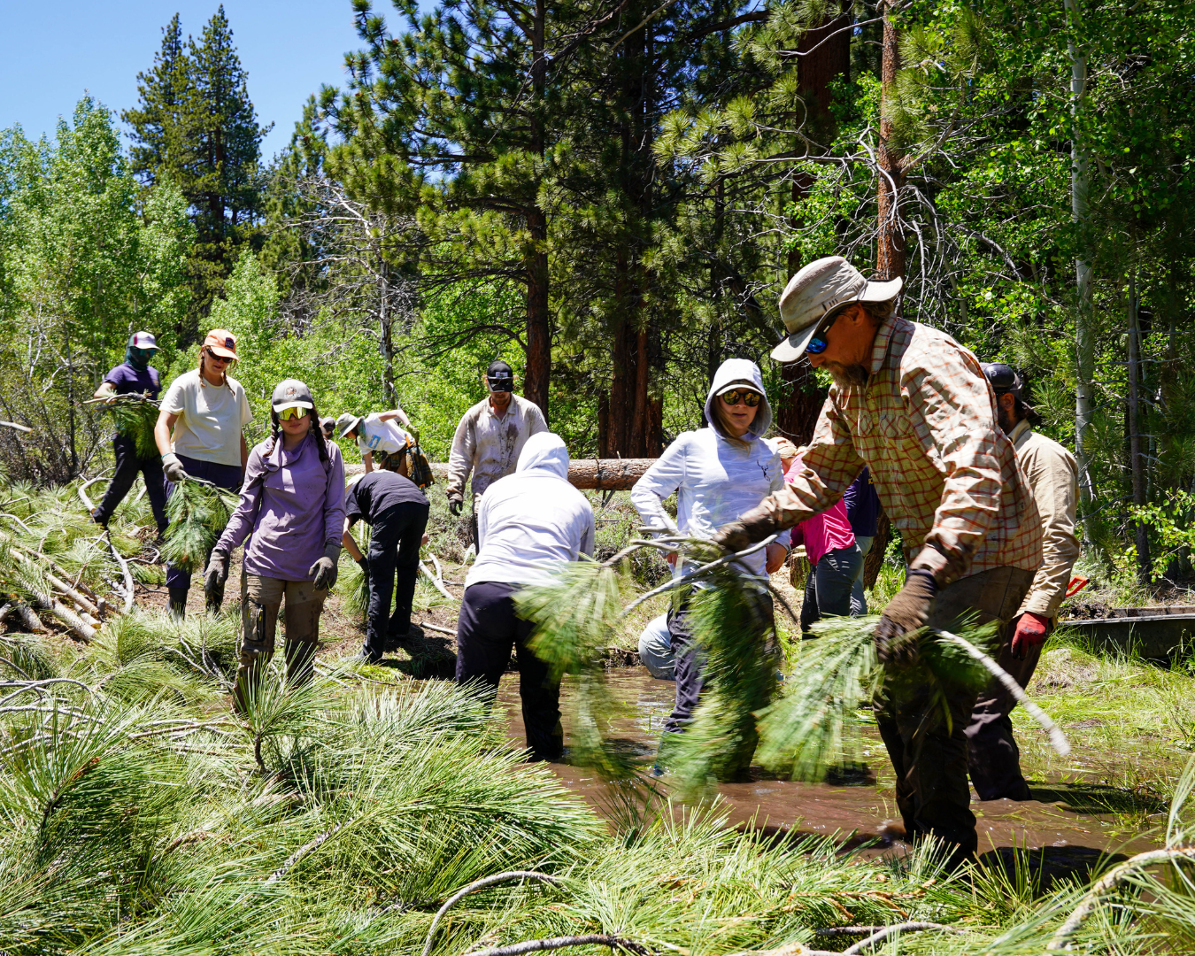 Rectangle Photo Blog Post (1080 x 1350 px) (1350 x 1080 px) (4)